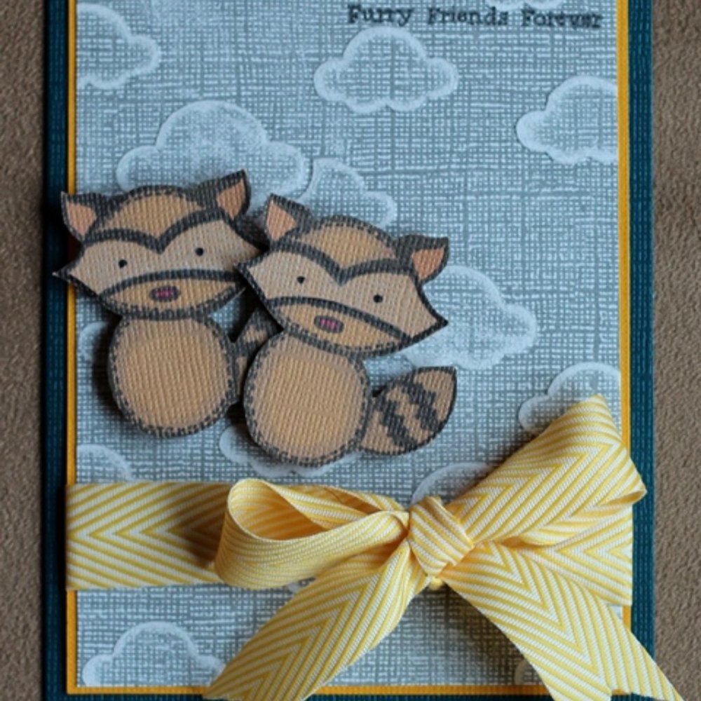 Darice 4” x 6” embossing folder - CLOUDY SKY